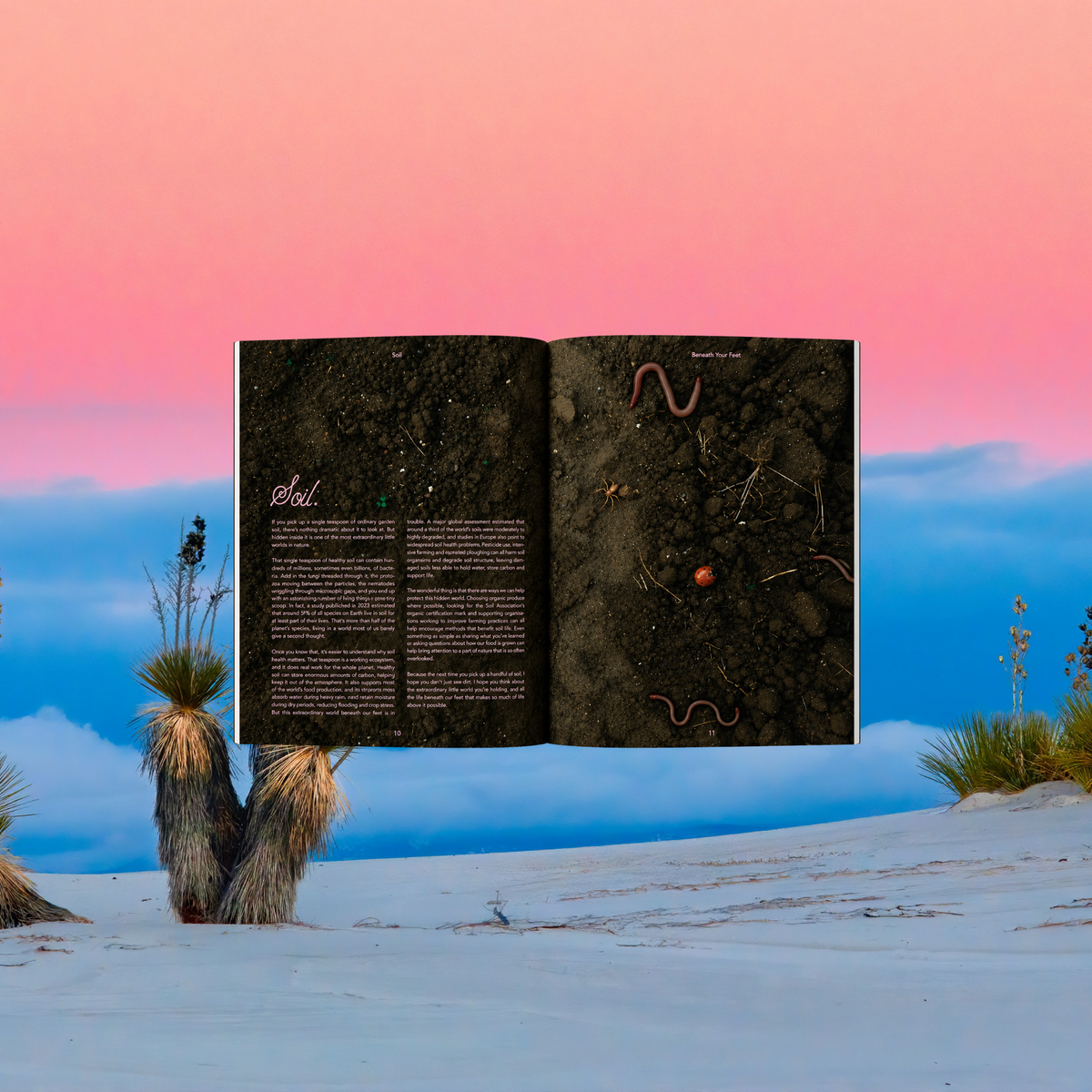 Do You Even Know Where You Live? - Issue One